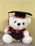 White_Graduation_teddy_bear